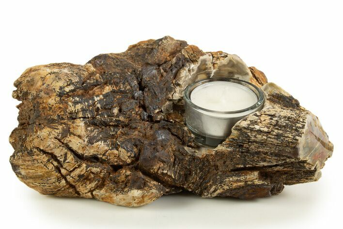 Polished Petrified Wood Candle Holder - Madagascar #338369